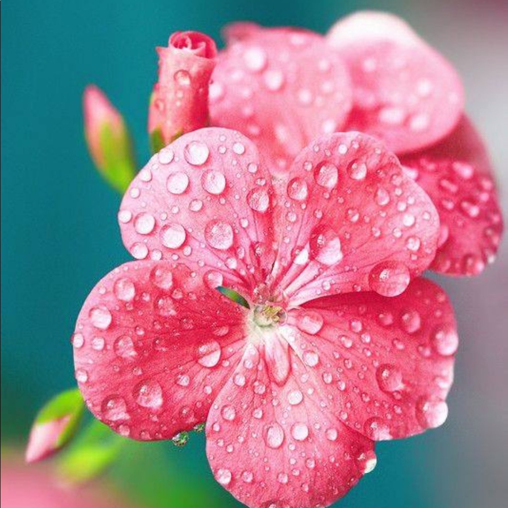 Meet your Posher, Kristine